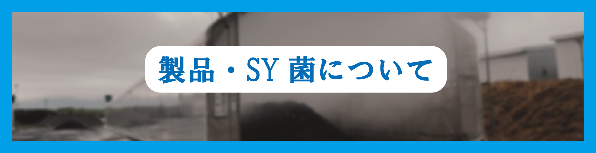製品・SY菌について
